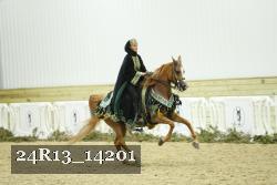 24R13_14201 thumbnail