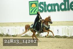 24R13_14202 thumbnail