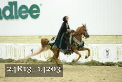 24R13_14203 thumbnail