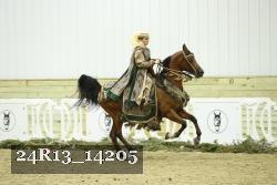 24R13_14205 thumbnail