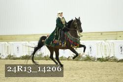 24R13_14206 thumbnail