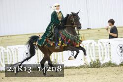 24R13_14208 thumbnail
