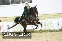 24R13_14210 thumbnail