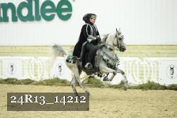 24R13_14212 thumbnail