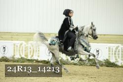 24R13_14213 thumbnail