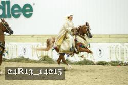 24R13_14215 thumbnail