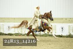 24R13_14216 thumbnail