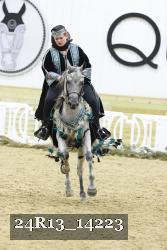 24R13_14223 thumbnail