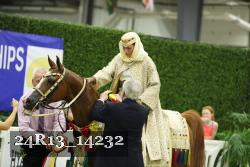 24R13_14232 thumbnail