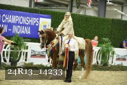 24R13_14233 thumbnail