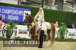 24R13_14234 thumbnail