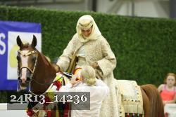 24R13_14236 thumbnail
