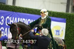 24R13_14237 thumbnail