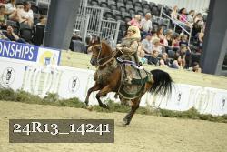 24R13_14241 thumbnail