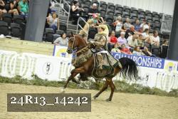 24R13_14242 thumbnail