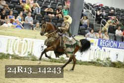 24R13_14243 thumbnail