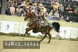 24R13_14244 thumbnail