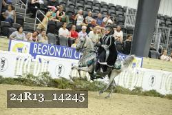 24R13_14245 thumbnail