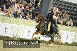 24R13_14248 thumbnail