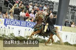 24R13_14249 thumbnail