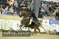 24R13_14250 thumbnail