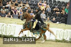 24R13_14251 thumbnail