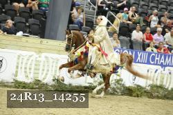 24R13_14255 thumbnail