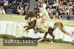 24R13_14257 thumbnail
