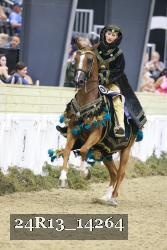 24R13_14264 thumbnail