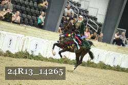 24R13_14265 thumbnail