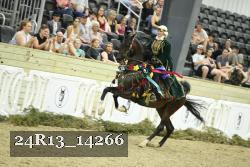 24R13_14266 thumbnail