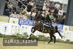 24R13_14268 thumbnail