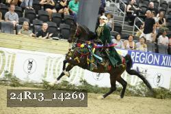 24R13_14269 thumbnail