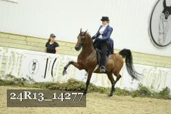 24R13_14277 thumbnail