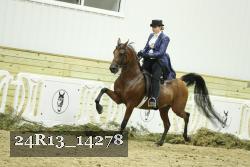 24R13_14278 thumbnail