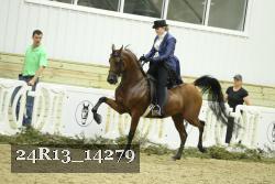 24R13_14279 thumbnail