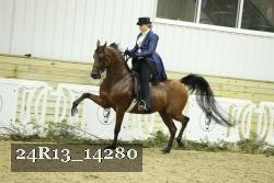 24R13_14280 thumbnail
