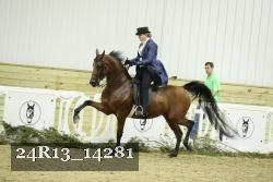 24R13_14281 thumbnail