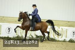 24R13_14282 thumbnail