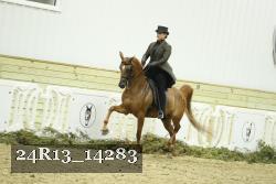 24R13_14283 thumbnail