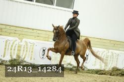 24R13_14284 thumbnail