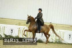 24R13_14285 thumbnail