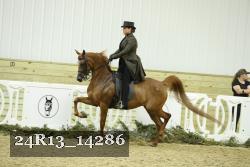 24R13_14286 thumbnail