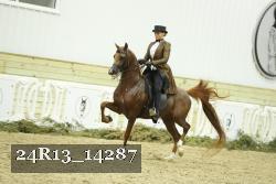 24R13_14287 thumbnail