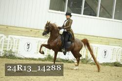 24R13_14288 thumbnail