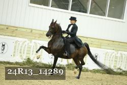 24R13_14289 thumbnail