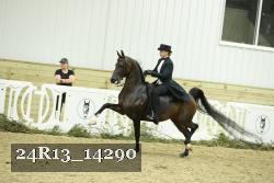 24R13_14290 thumbnail