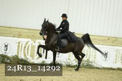 24R13_14292 thumbnail