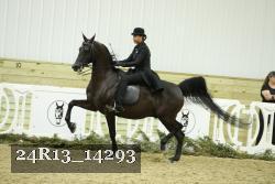 24R13_14293 thumbnail