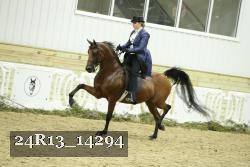 24R13_14294 thumbnail